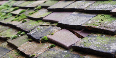 Landbeach roof repair costs